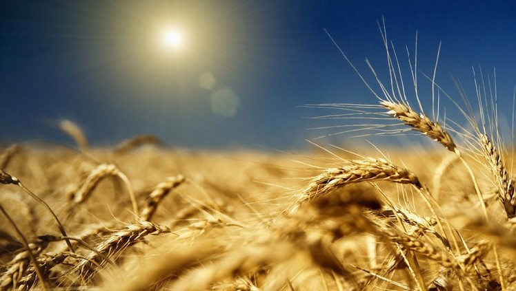 如果生无可恋，那就爱上一只马桶