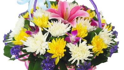 把生的希望留给——弱者