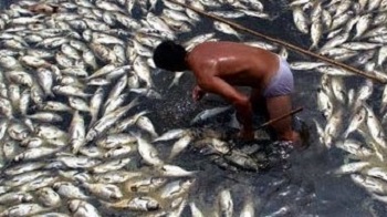 【组图】中国是一个仅仅用几十年就毁掉了的国家