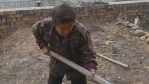 中国农村老人挣扎在生与死的边缘上