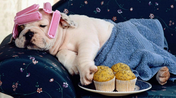 国人最大懒惰是精神懒惰，脑袋停止思考