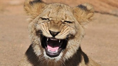 终于找到了所谓“正能量”的起源