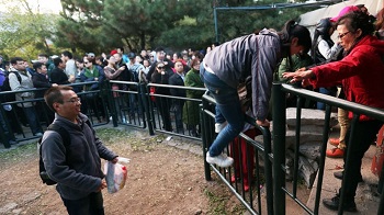 为什么中国人的“羞耻阈限”比较高？