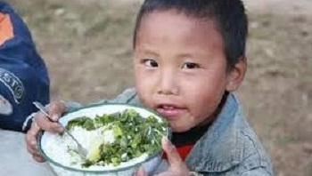 中国的下一场危机是粮食危机