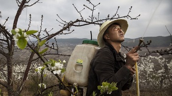 中国农村踏入史上最危险境地