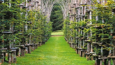 慢慢「成長」中的義大利樹木大教堂