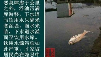 怪不得权贵们争先恐后移居国外