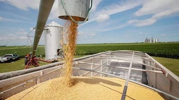 中国承诺未来2年内增购2000亿美元美国产品