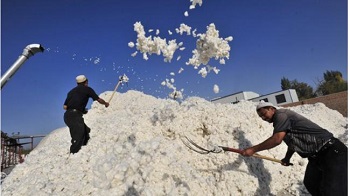 美英加联合 禁止进口中国在新疆强迫劳动生产的产品