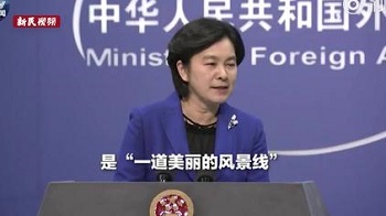 中國錯用波洛西「美麗風景線」？ 西方媒體批移花接木