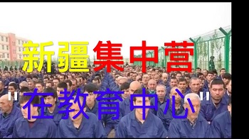 佟美琴：强烈要求中国政府取缔拘捕、关押维吾尔人的集中营