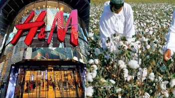 中國抵制拒用新疆棉 白宮：國際社會應反對
