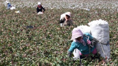 朱德民：强烈抗议中国政府在新疆地区的强迫维吾尔人劳动