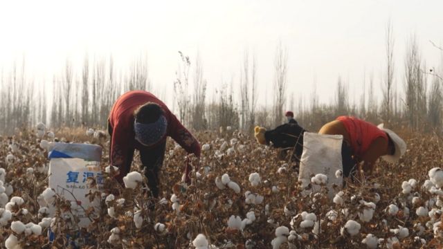 美总统拜登签署法案 禁止新疆强迫劳动产品进入美国