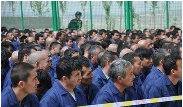 联合国前人权高专吁组团追查中国新疆暴行