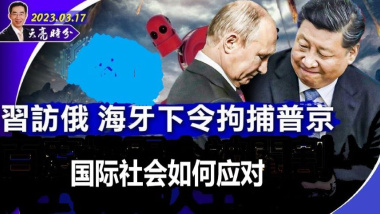 普京因通缉令面临4大危机