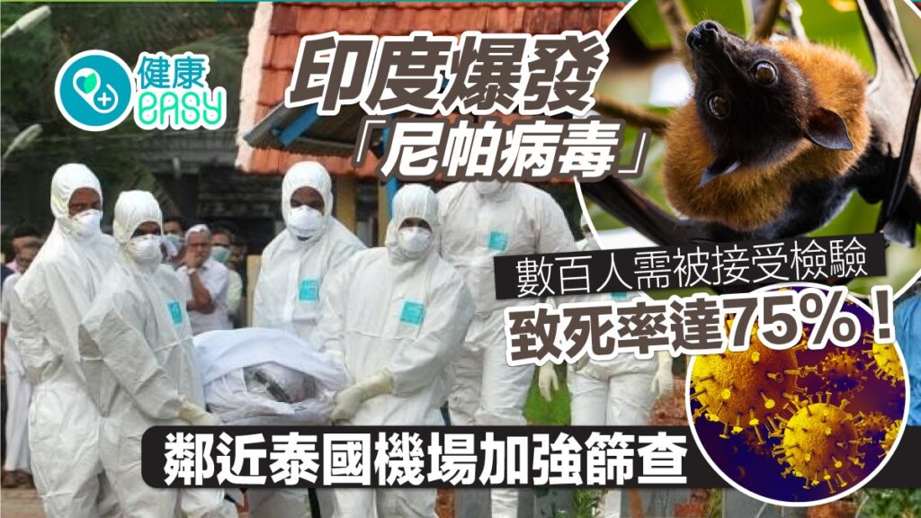 印度爆发尼帕病毒疫情，亚洲机场加强筛检