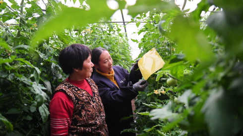 纽约时报：中国农民养老金增幅微薄凸显经济不平等