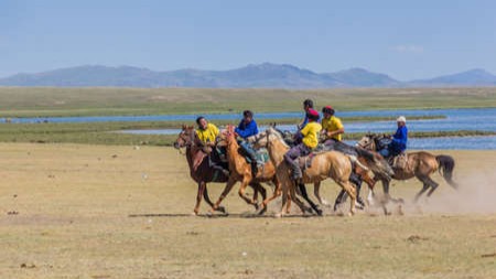 新疆伊犁传限制哈萨克族处置财产 移民受阻